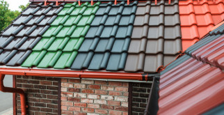 Животные Красной книги: наши редкие и уязвимые соседи