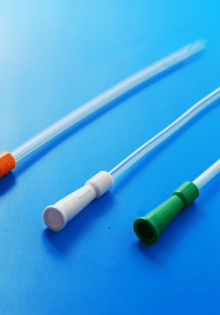 Хамелеон Джексона: Удивительное создание природы в ярких цветах