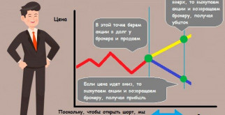 Тараканы: Удивительное разнообразие мира насекомых