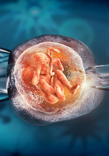 Экстракорпоральное оплодотворение — шанс стать родителями