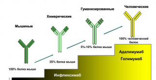 Плацентит: что это и как с этим бороться?