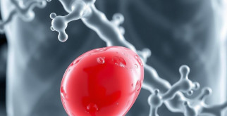 Гликированный гемоглобин: все, что нужно знать о вашем здоровье