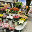 Как купить цветы онлайн?