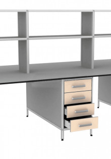 Что такое трепонема pallidum в крови у женщин?