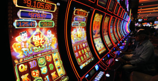 Орикс: Величественный обитатель пустынь