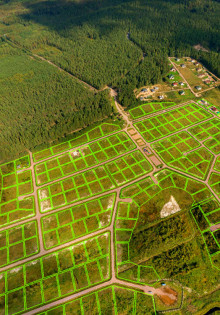 Двусторонний фронтит: что это такое и как с этим бороться