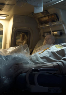 Гну: невероятные путешественники Африки