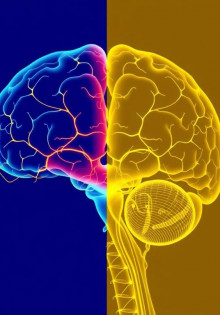 Неврологические расстройства: диагностика и терапия – как распознать и победить неврологические заболевания