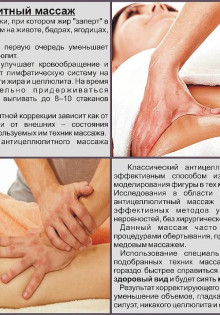 Размер соловья: от крошечного чуда до мелодичного гиганта