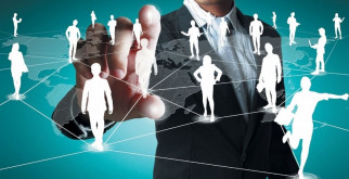 Черепаха болотная: удивительный мир амфибийных мудрецов