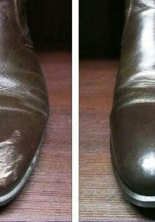 Индюки: Очарование и Умные Ребята с Перьями