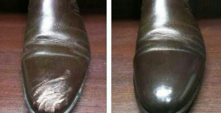 Индюки: Очарование и Умные Ребята с Перьями