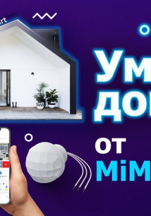 Зяблик: Птичка, которая наполняет осень музыкой