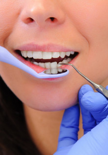 Пищуха: маленькое чудо с большим характером