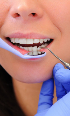 Пищуха: маленькое чудо с большим характером