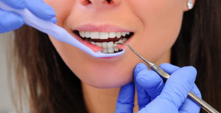 Пищуха: маленькое чудо с большим характером