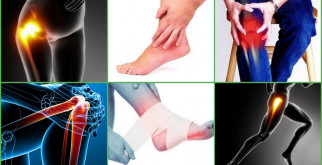 Степная змея: загадочный обитатель Китая и его тайны