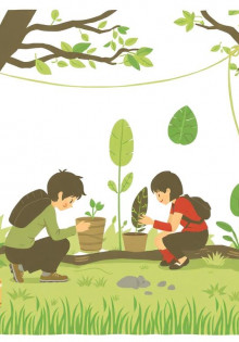 Программы ЭКО: как сделать шаг к долгожданной беременности