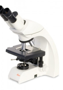 Болотная сова: Тайный охотник ночных просторов