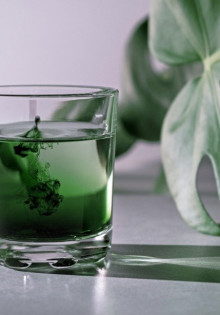 Муши, которые всем в сердце: Дасипус новемцинктус — Десятихвостая броненосец