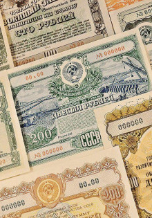 Викунья: Удивительное создание высокогорий Ант зон