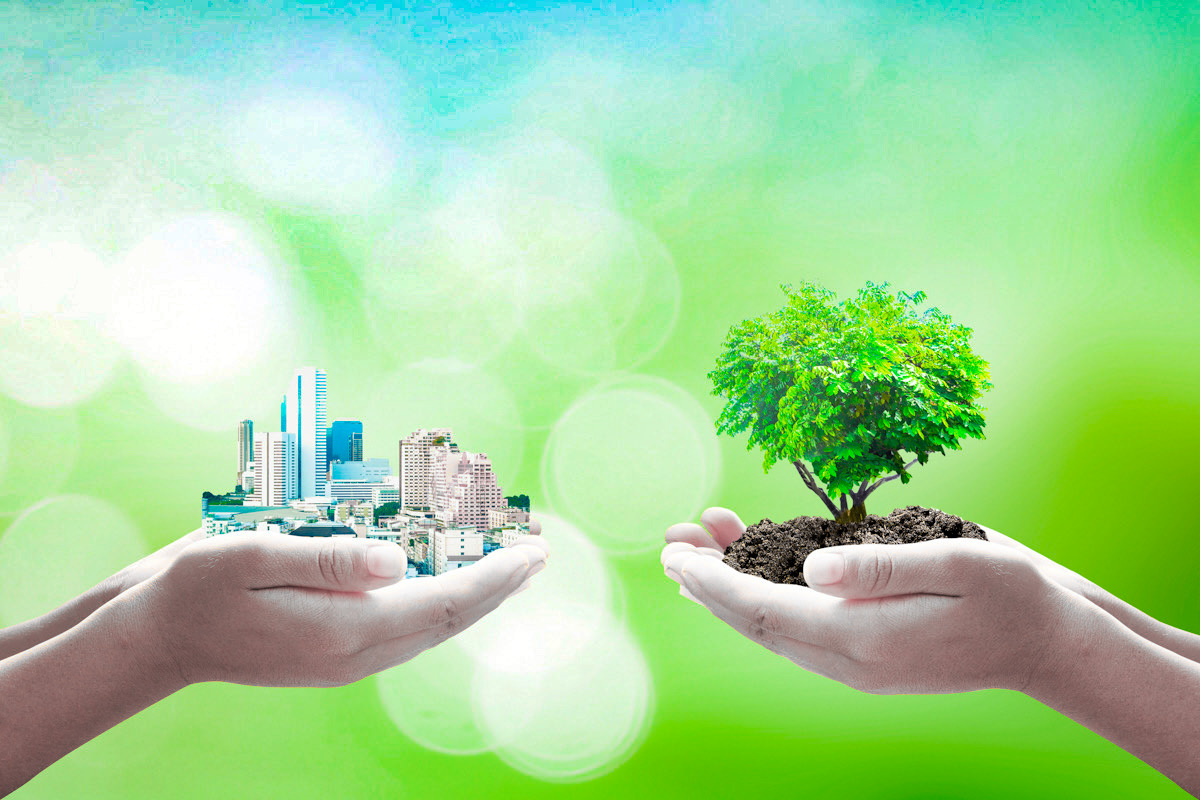 Экологическое сопровождение: сохранение природы и устойчивое развитие