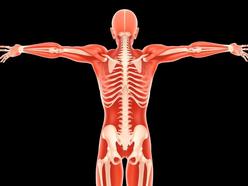 Когда тело подает сигналы: мышечная дистония, гипертония и гипотония — как понимать и жить дальше